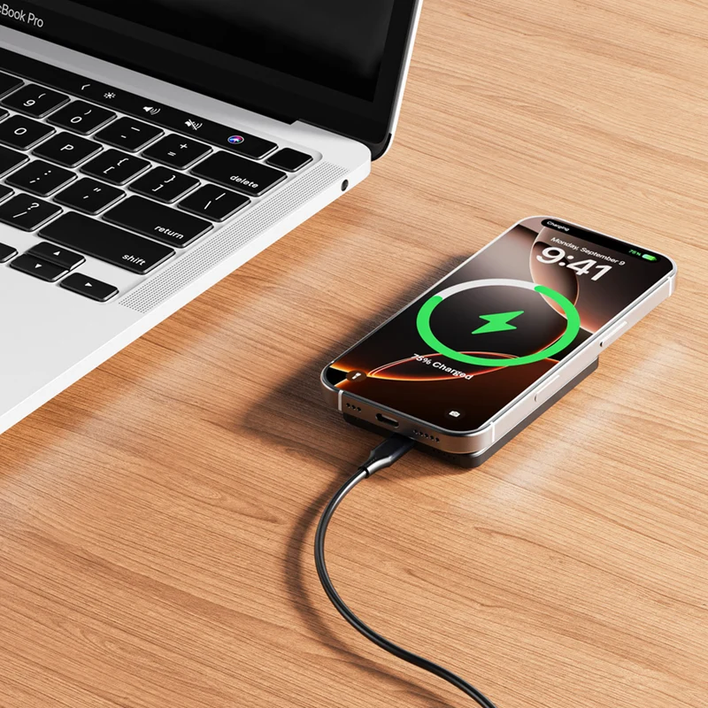 Lippa 5.000 mAh MagSafe Powerbank 20W, Sort