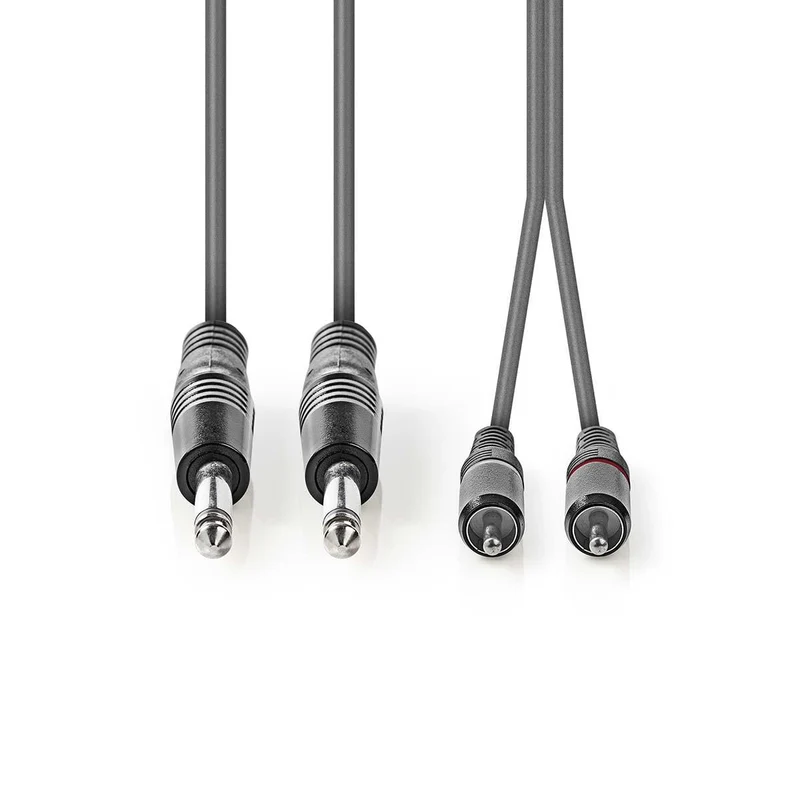 Stereo-Audiokabel 2x 6,35 mm Male - 2x RCA Male - Vernikkeld