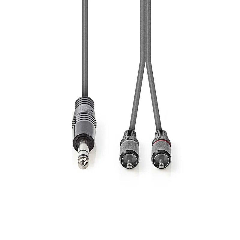 Stereo-Audiokabel 6,35 mm Male - 2x RCA Male - Vernikkeld