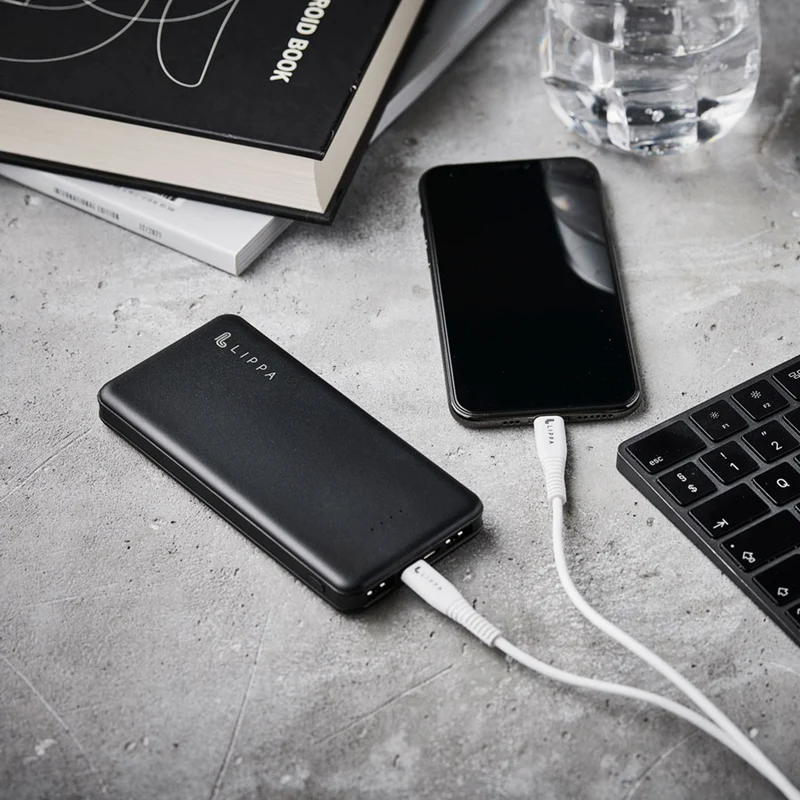Lippa 10.000 mAh powerbank, 2 x USB-A output, Sort