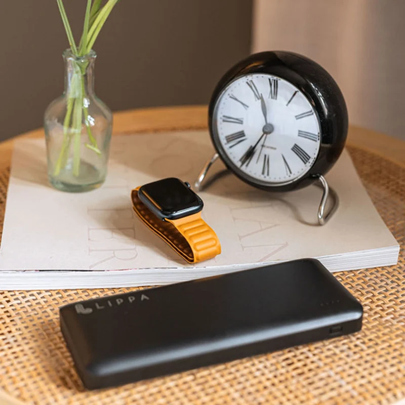 Lippa 26.800 mAh powerbank 65W USB-C PD og QC output, Sort
