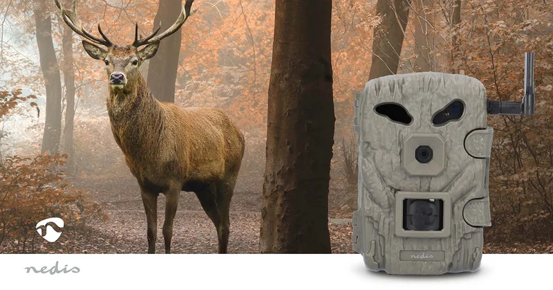 Wildcamera 1080p@30fps - 30.0 MPixel - 2 MPixel CMOS