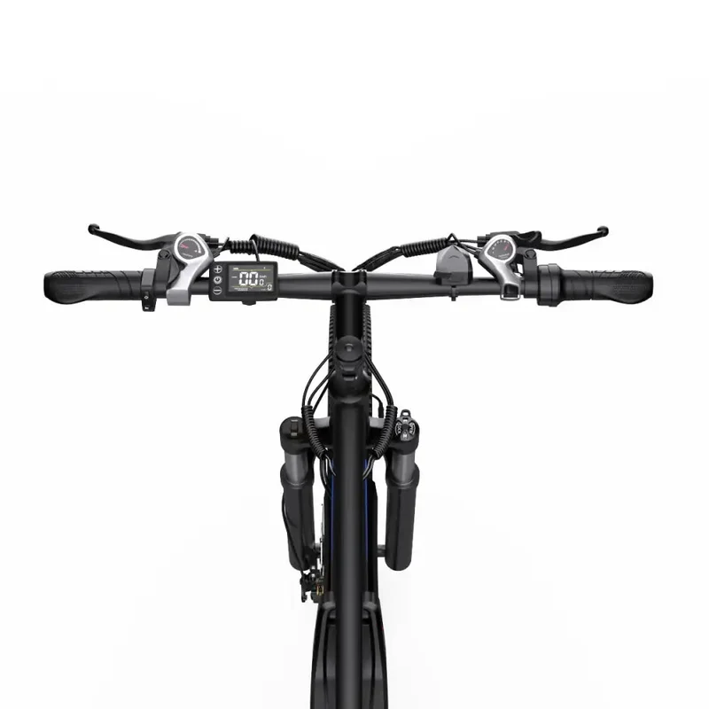 Duotts C29 750W 29" Electric Mountain Bike, 720Wh, 48V, Black/Blue