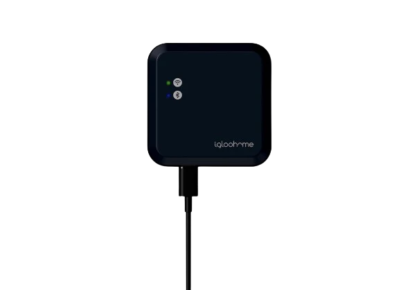 Igloohome Bridge Gateway - Smart WiFi