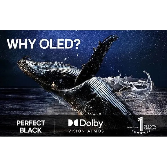 LG 55" OLED evo C5 – 4K TV (C51)