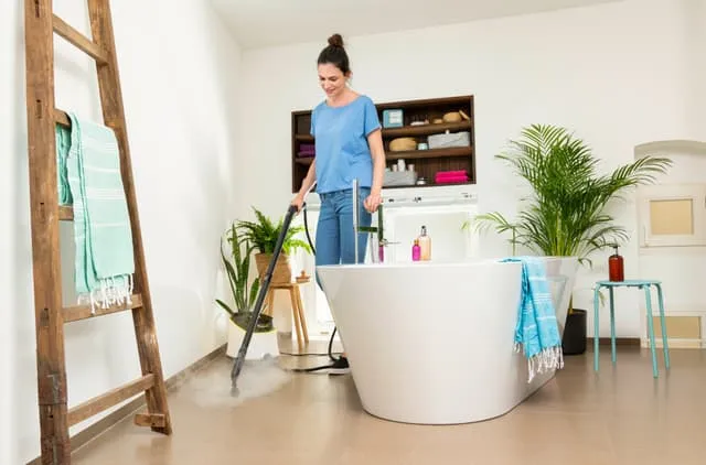 Kärcher SC 3 Deluxe EasyFix Steam Cleaner, White