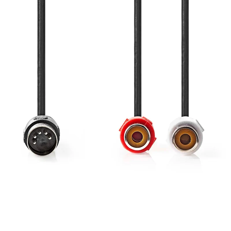 DIN-Audiokabel DIN 5-Pins Male - 2x RCA Female - Vernikkeld