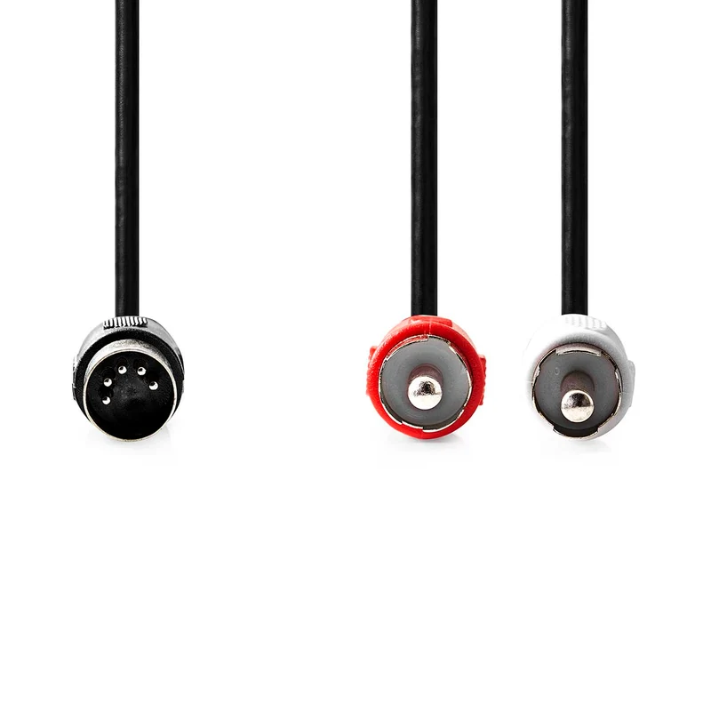 DIN-Audiokabel DIN 5-Pins Male - 2x RCA Male - Vernikkeld