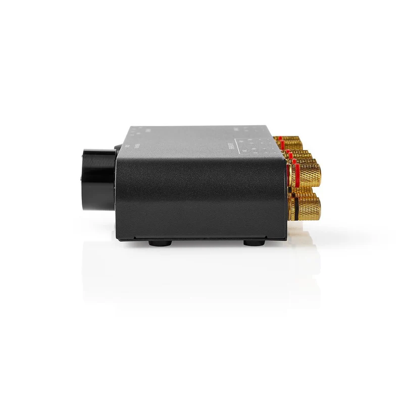Speaker Control Box 2 poort(en) - Banana - Luidspreker Impedantie: 4-16 Ohm