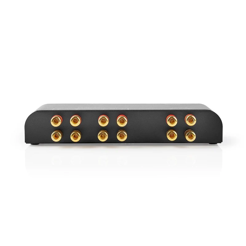 Speaker Control Box 2 poort(en) - Banana - Luidspreker Impedantie: 4-16 Ohm