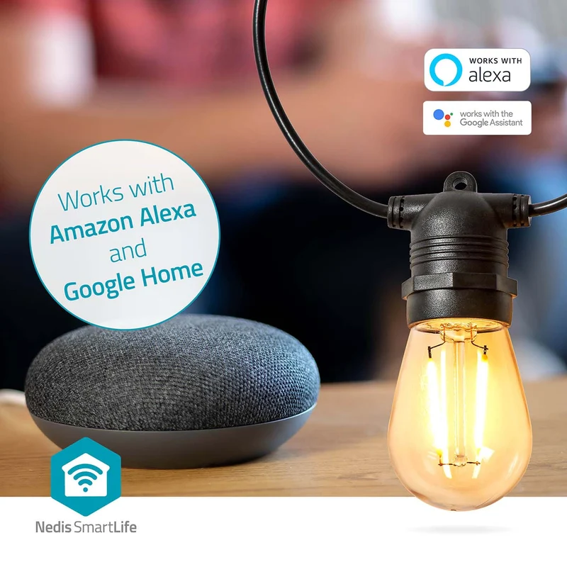 SmartLife Decoratieve Verlichting Feestverlichting - Wi-Fi - Warm Wit
