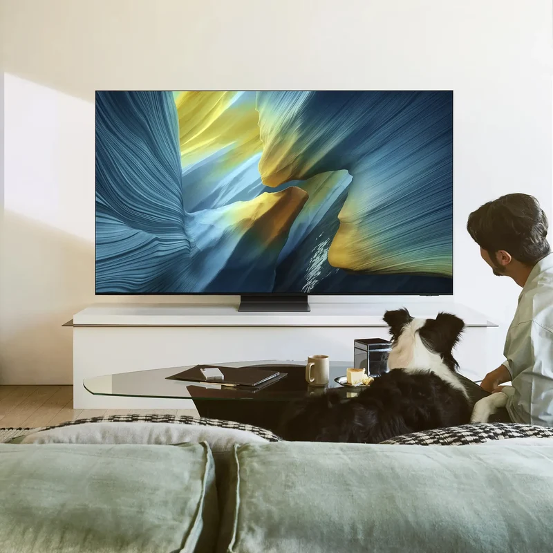 Samsung S95F 77" 4K OLED Tizen TV, 165Hz, HDR Pro