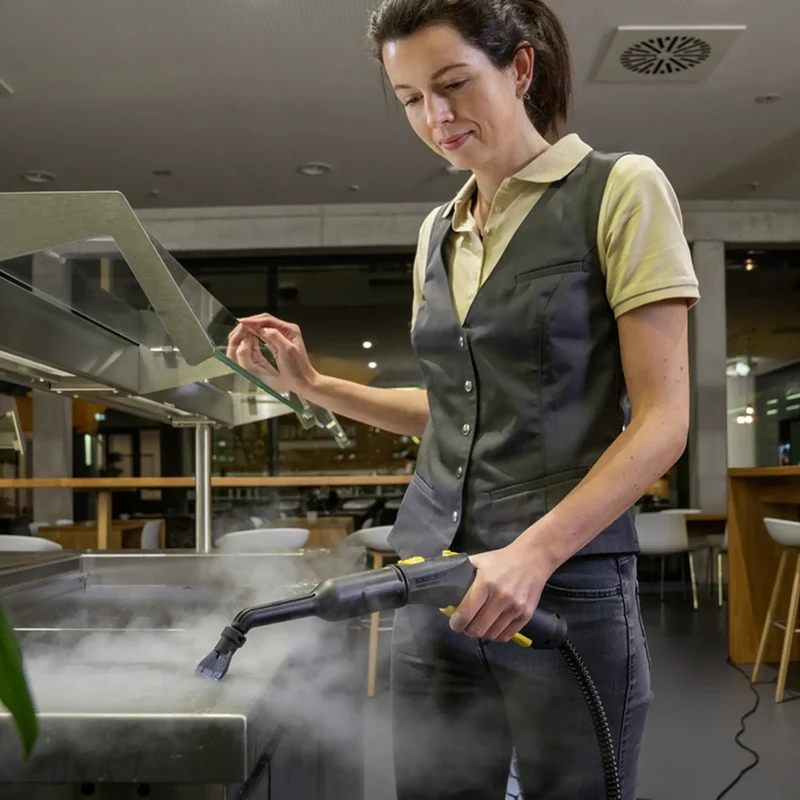 Karcher SG 4/2 Classic Steam Cleaner