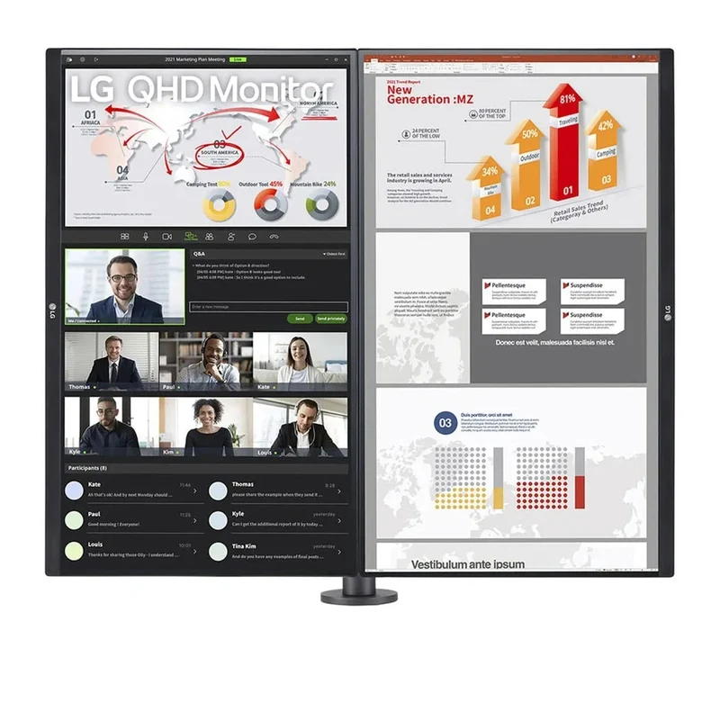 LG 27QP88DP-BS Ergo Dual Monitor