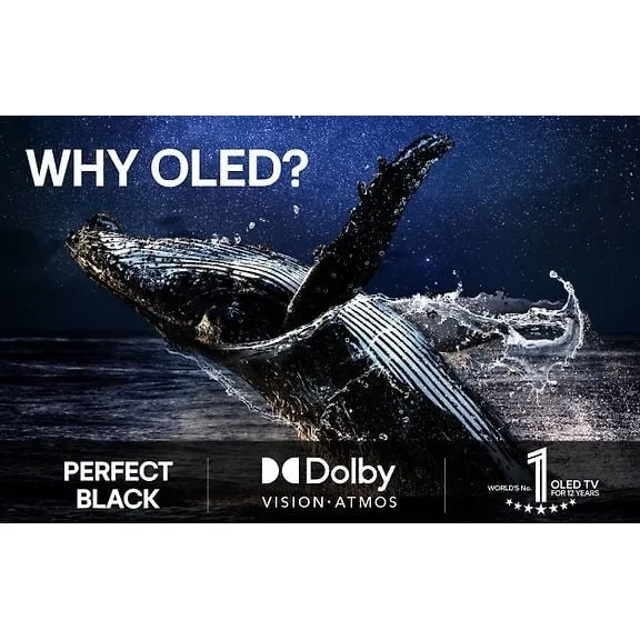 LG 65" OLED B5 – 4K TV