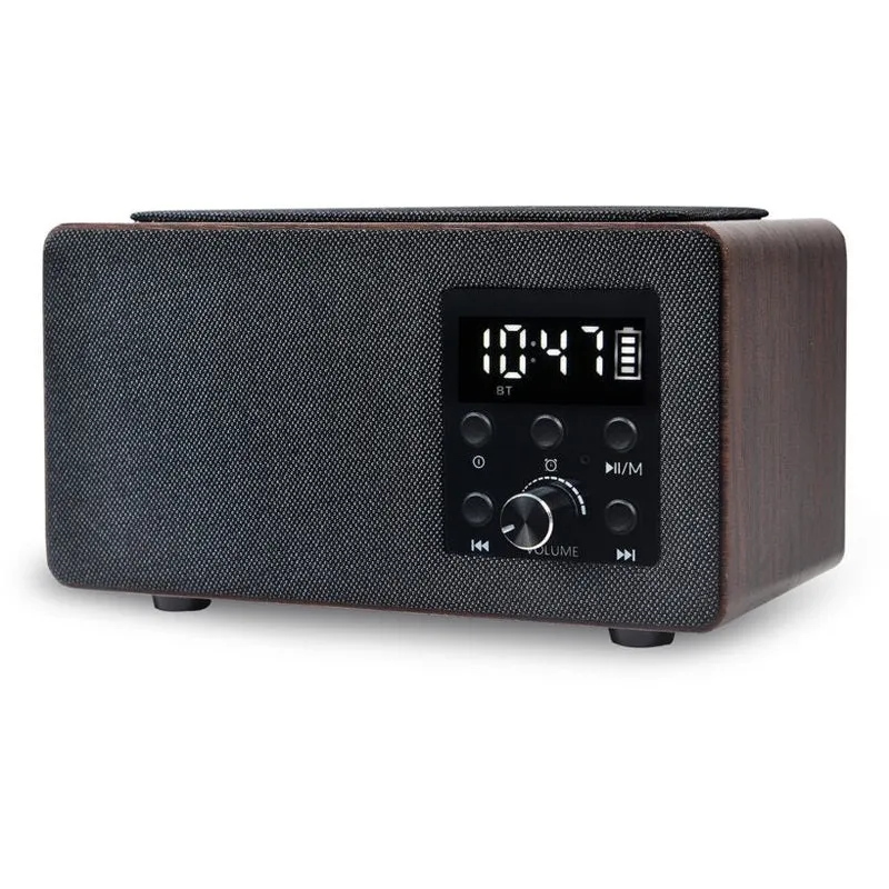 Portable radio receiver Manta RDI910WC, brown/black