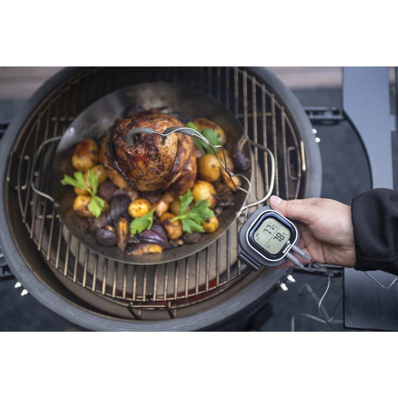 Mustang Digital Thermometer