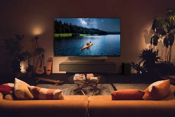 LG 65'' OLED evo C4 – 4K TV