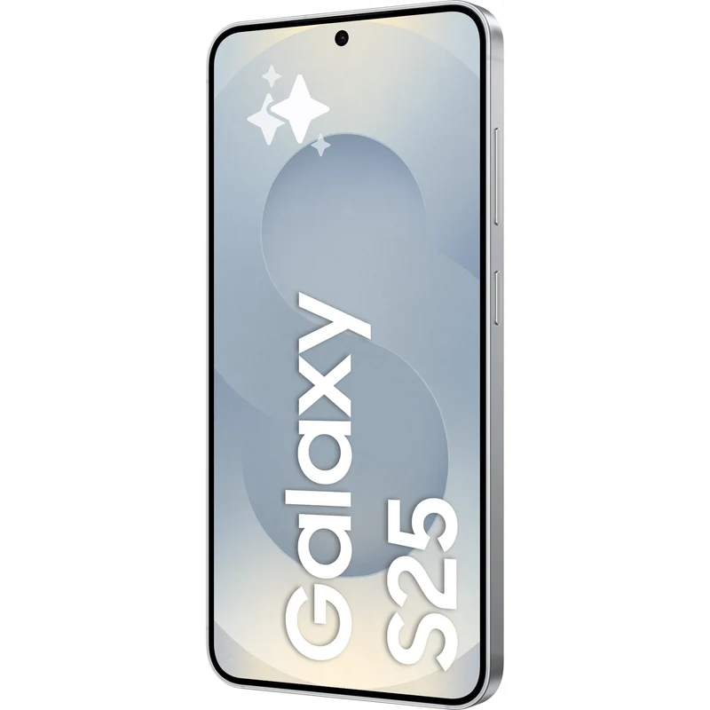 Samsung Galaxy S25 5G, 128 Gt, Silver Shadow