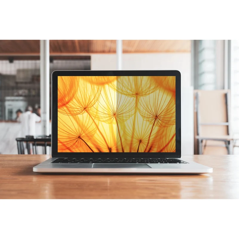 3M Privacy Filter for MacBook Pro 13" (16:10)