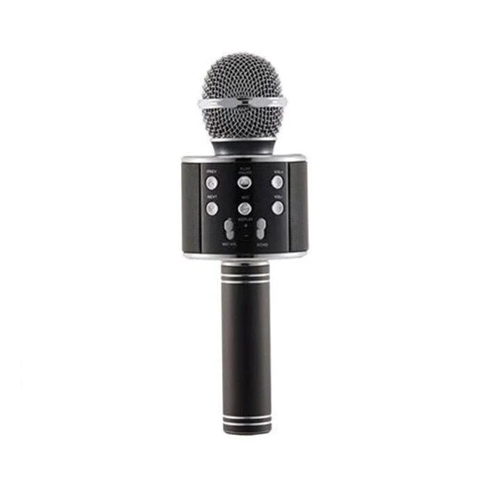 Karaoke Microphone, WS-858