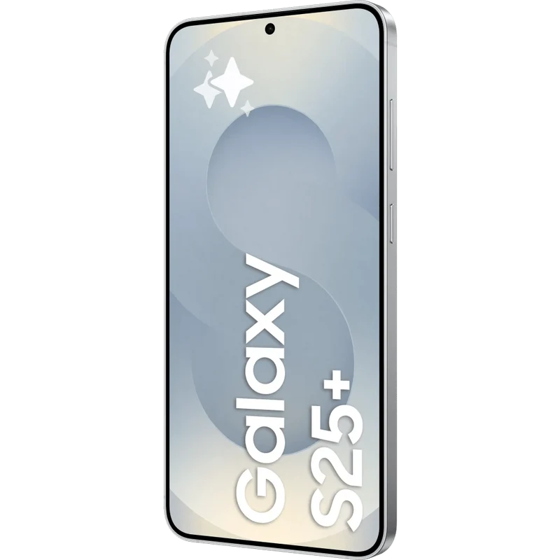 Samsung Galaxy S25+ 5G, 512 Gt, Silver Shadow