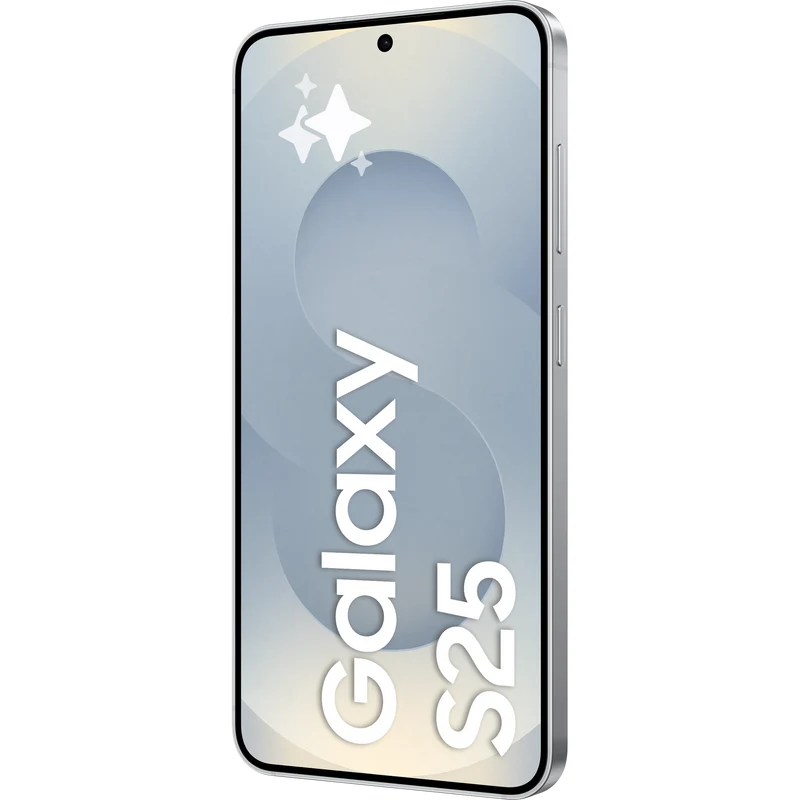 Samsung Galaxy S25, 256GB, Silver Shadow