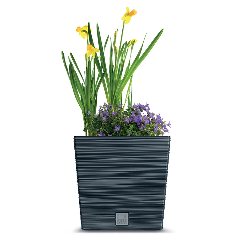 Prosperplast Furu Square Low blomkruka med insats DFS300-S433 - antracitfärgad