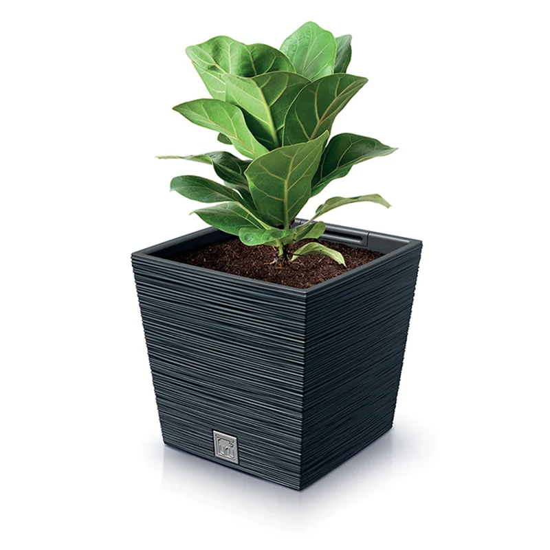 Prosperplast Furu Square Low Blomkruka Med Insats 24 x 24 x 23,5 cm Kapacitet 7,5L Antracit