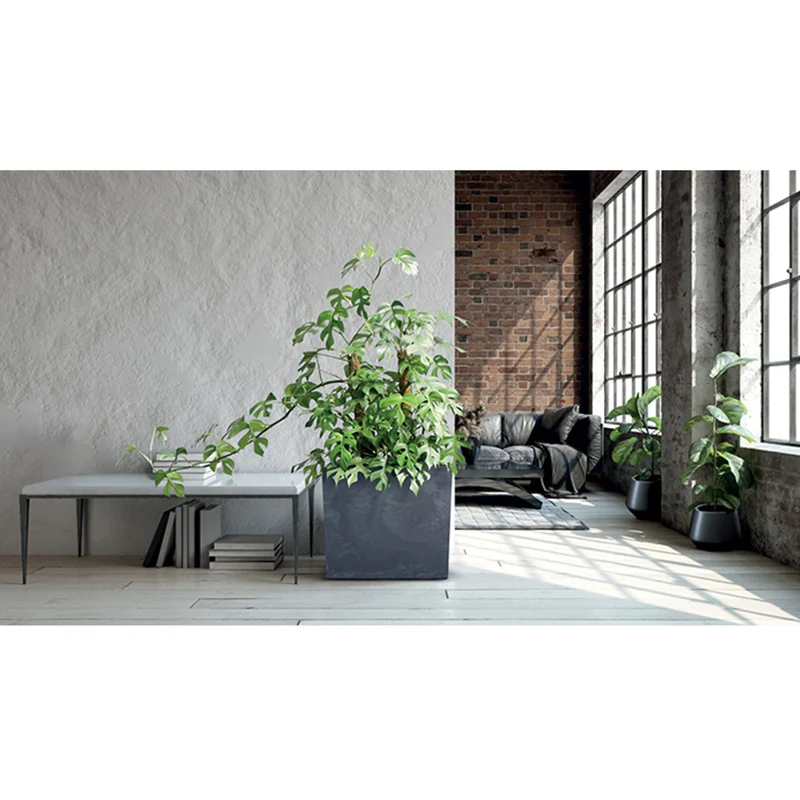 Urbi Case Betong Effekt Tower Planter Med Inre Kruka Växt Tråg Blomtråg För Inomhus Och Utomhusbruk Rektangulär Plast (77x23,5x68,7cm, Antracit)