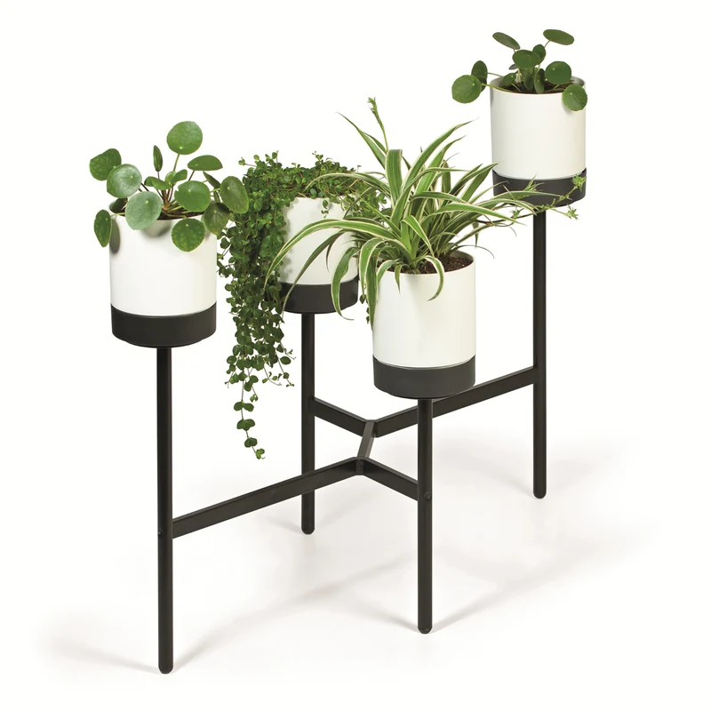 Prosperplast Bloomie Stand IKD4L-S449 Fyrbent Blomsterbädd Med Metallram - Krukväxtfärg Vit