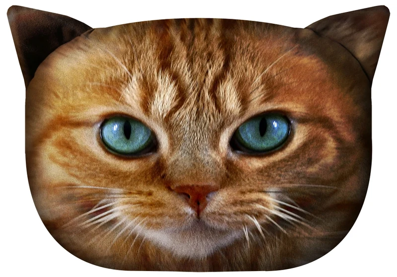 ARCO DESIGN Designerkuddar Med Kattmotiv Kattkuddar Dekorkuddar