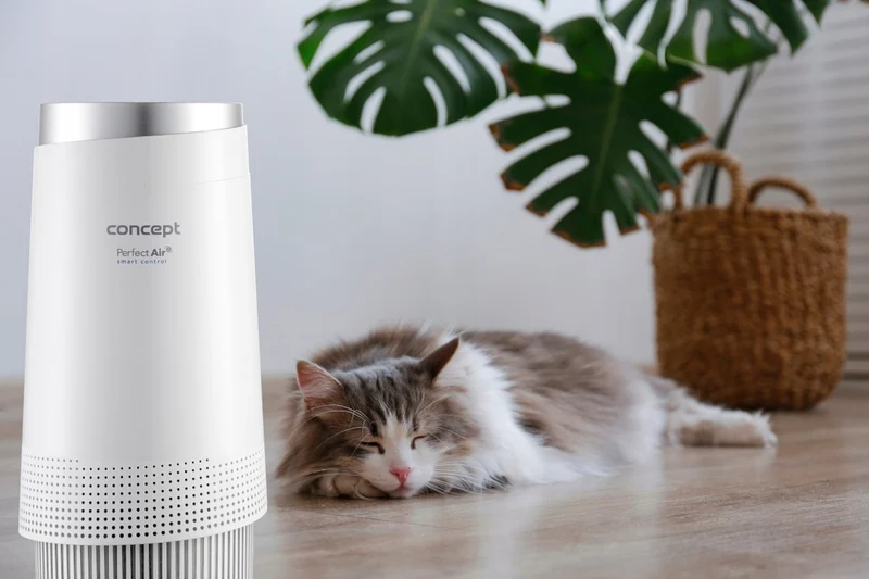 Concept CA1010 Luftrenare Perfect Air Smart Med Tre Nivåer Av Luftfiltrering